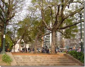 plazaitalia